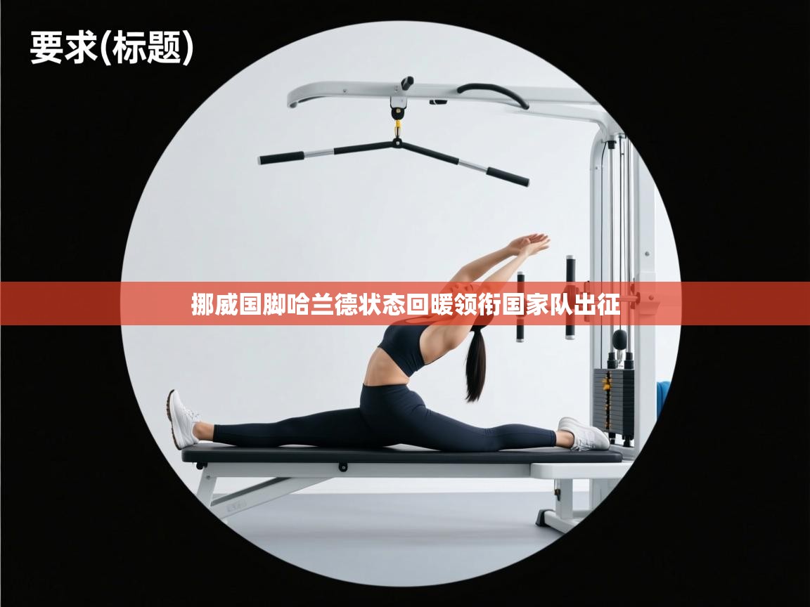 挪威国脚哈兰德状态回暖领衔国家队出征 第2张